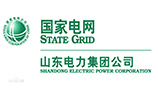 山東電力